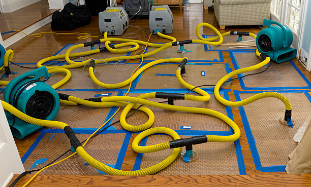 Professional Burst Pipe Water Damage technician working in Saint Clair, MI